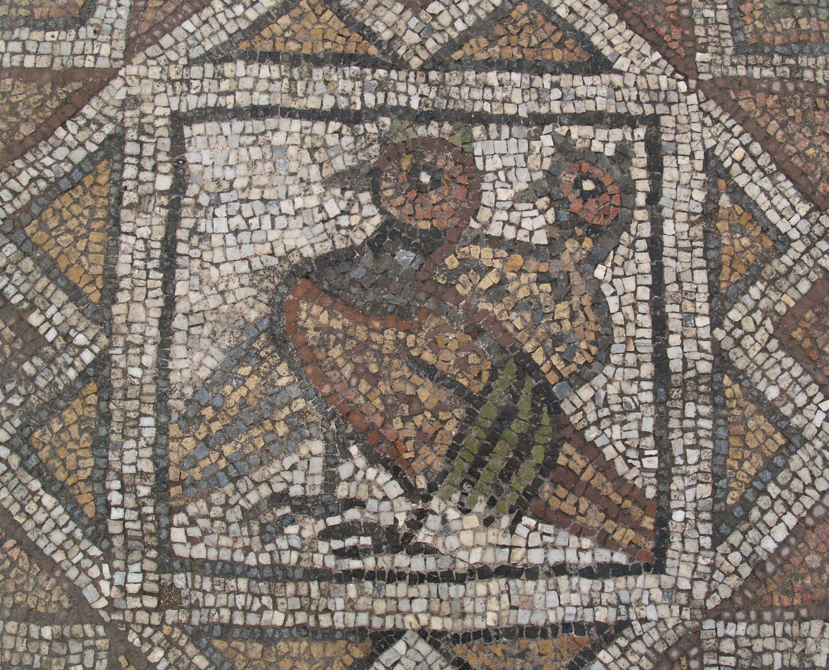 Bishop's Basilica mosaic, lovebirds