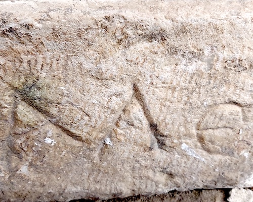 С признателност към АЛЕ и неговите колеги от 21 век