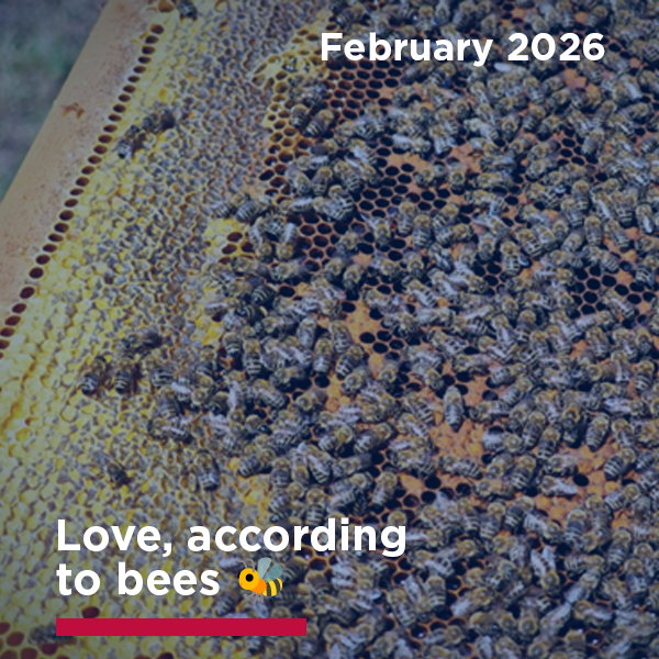 Feb-en